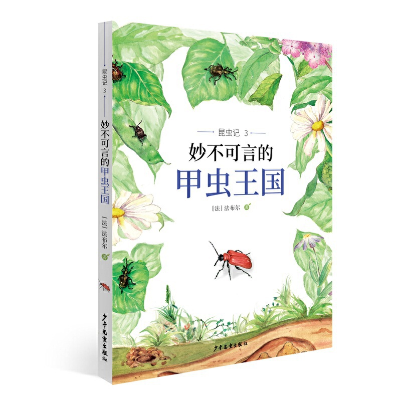 ���xӛ3 ����Եļ��x����