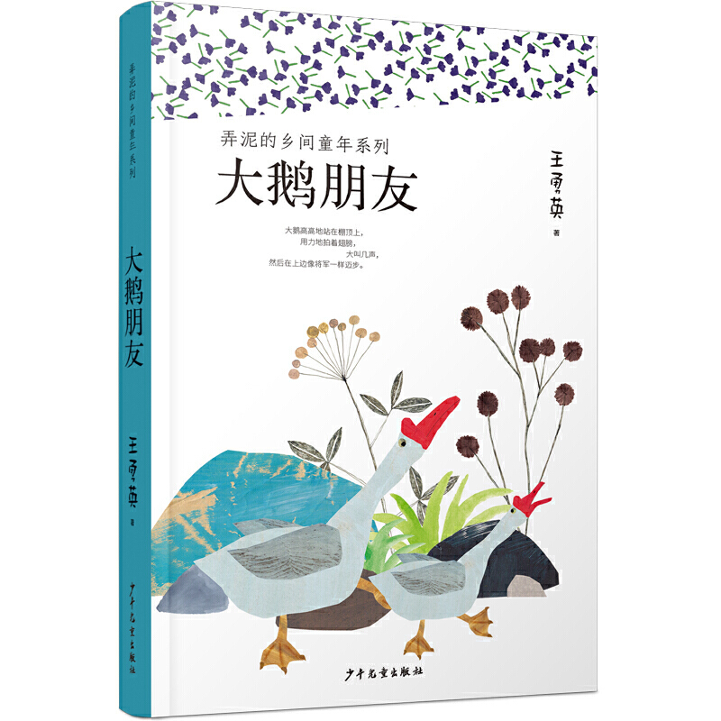 Ū����l(xi��ng)�gͯ��ϵ�У����Z����