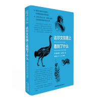 �_(d��)������·�Ͽ�����ʲô