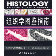 �M���W�D�bָ��