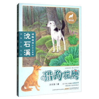 ��ʯϪ�������ע����ϵ�С��C������