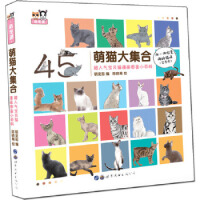 ��؈�󼯺ϡ������˚⌚ؐ؈�����D�bС�ٿ�