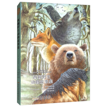 С���罛(j��ng)���Ď졤���烺ͯ�ČW�����ʈDȫ�g�������DҰ��������¼�