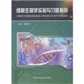 ��������W����c���}ָ��