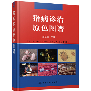 �i���\��ԭɫ�D�V