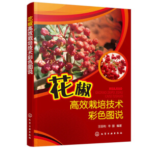 ������Ч���༼�g(sh��)��ɫ�D�f(shu��)