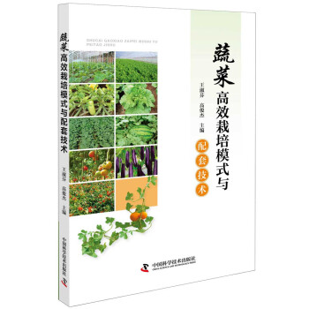 �߲˸�Ч����ģʽ�c���׼��g(sh��)