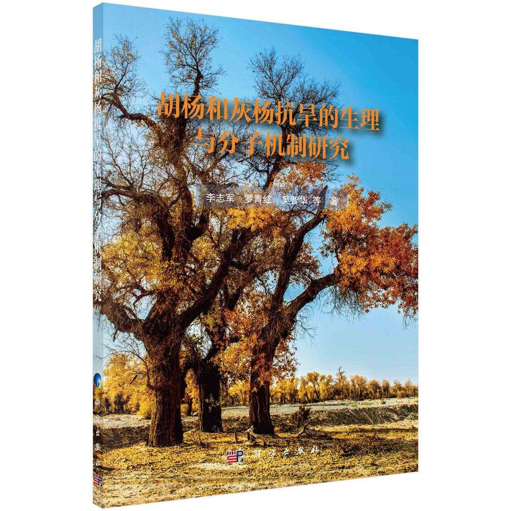 ����ͻҗ��ͺ������������әC���о�