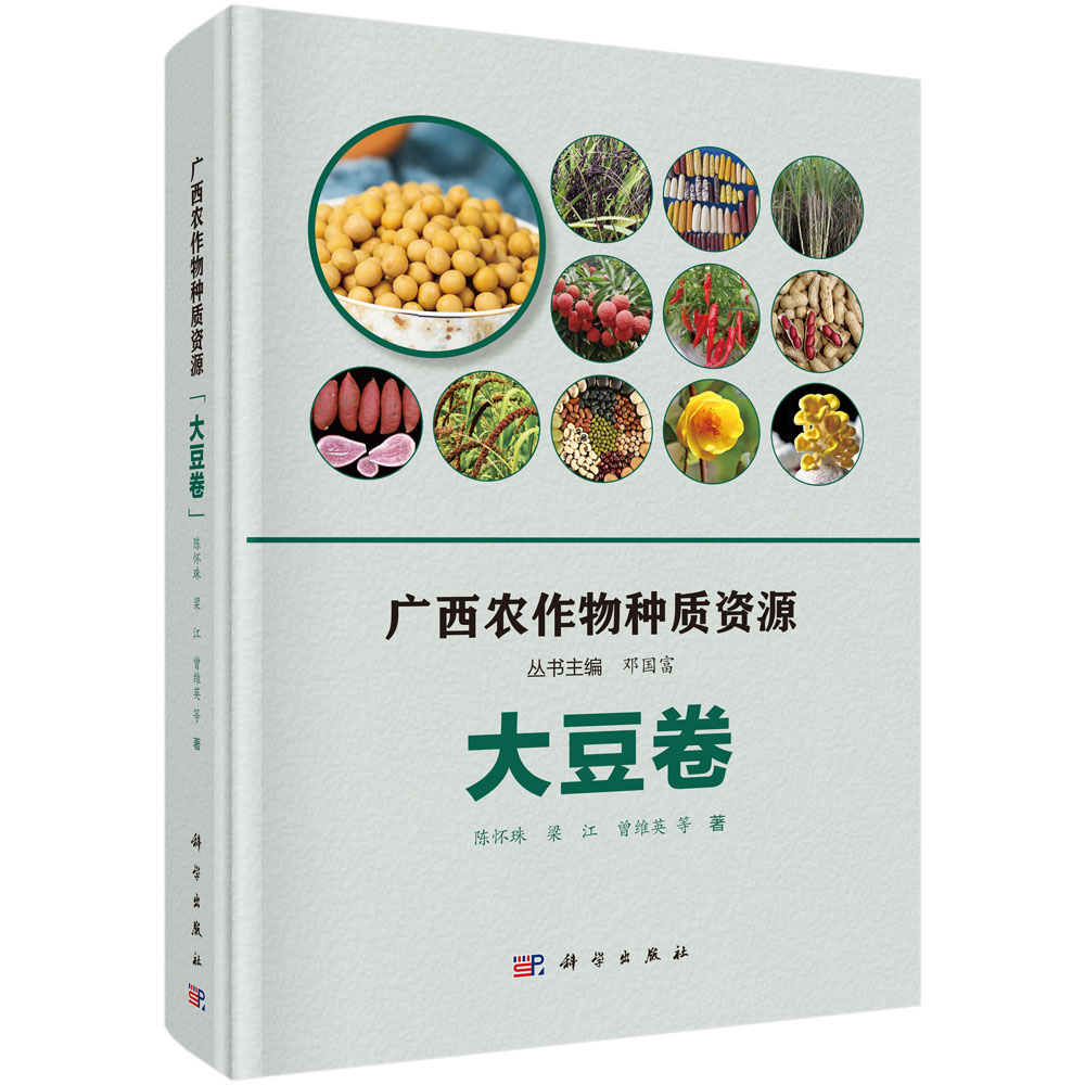 �V���r����N�|�YԴ���󶹾�