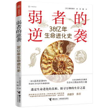 ���ߵ����u��38�|�������M(j��n)��ʷ