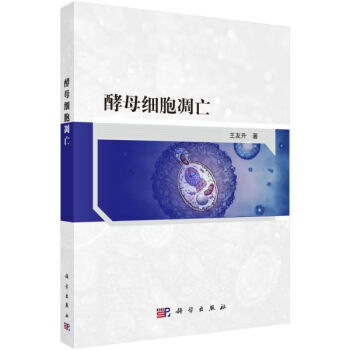 ��ĸ��������