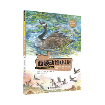 ���صĹ���