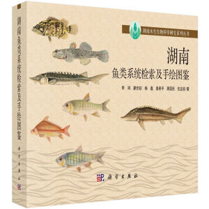 �����~�ϵ�y(t��ng)�z�������L�D�b