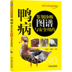 �����b�e�\���D�V�c��ȫ��ˎ