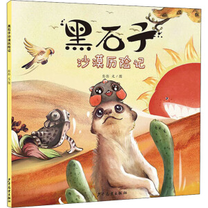 ��ʯ��ɳĮ�v�U(xi��n)ӛ