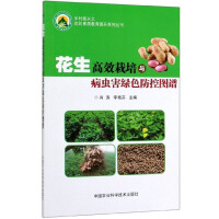 ������Ч�����c���x���Gɫ���؈D�V