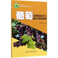 ���Ѹ�Ч���༼�g(sh��)�c���x�����ΈD�V