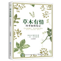 ��ľ����