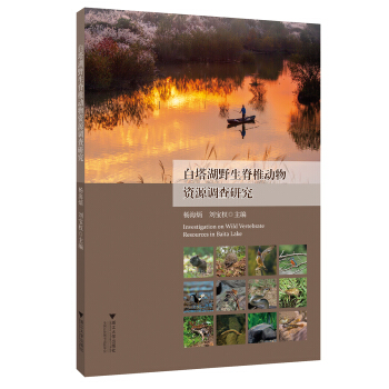 ������Ұ����׵��(d��ng)���YԴ�{(di��o)���о�