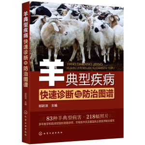 ����ͼ��������\���c���ΈD�V