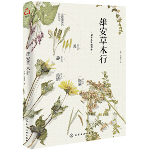 �۰���ľ��