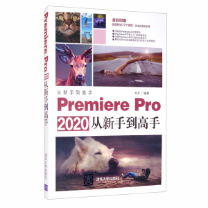 Premiere Pro 2020�����ֵ�����