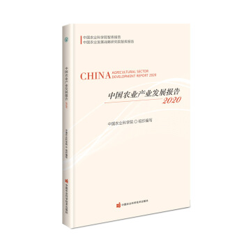 �Ї�(gu��)�r(n��ng)�I(y��)չ����(b��o)�棨2020-2029 Ӣ�İ棩