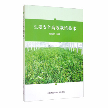 ������ȫ��Ч���༼�g(sh��)