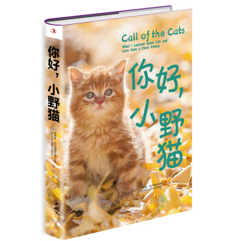 �����СҰ؈