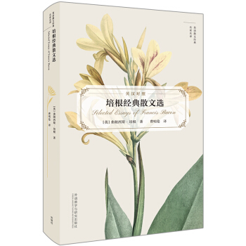 �����(j��ng)��ɢ���x��Ӣ�h���� Ӣ�Zɢ�Ľ�(j��ng)���������g��