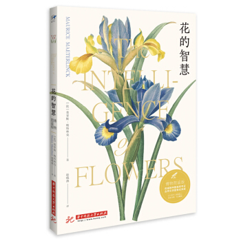 �����ǻ�