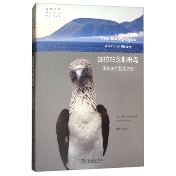 ��������˹Ⱥ�u���ݻ�Փ�ĳ�ʥ֮��/��Ȼ�Ď�(k��)