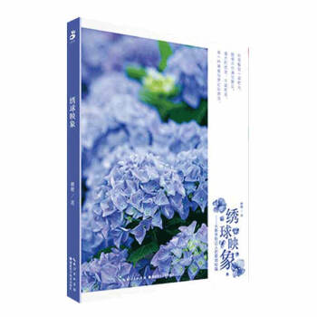 �C��ӳ�󣺏����ֵ��_(d��)�˵������ؼ�