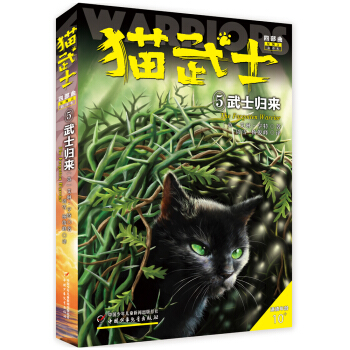 ؈��ʿ���Ĳ�����5����ʿ�w��