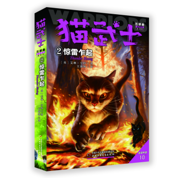 ؈��ʿ���岿����2���@��է��