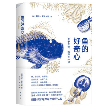 �~�ĺ����ģ��P(gu��n)������������һ��