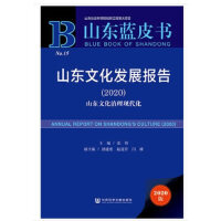 ɽ�|�Ļ��l(f��)չ��棨2020��