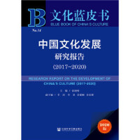 �Ї��Ļ��l(f��)չ�о���棨2017-2020��