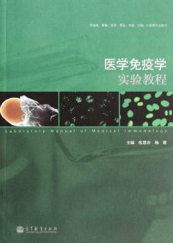 �t(y��)�W���ߌW���̳�