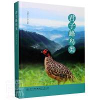 ���ӷ��B�