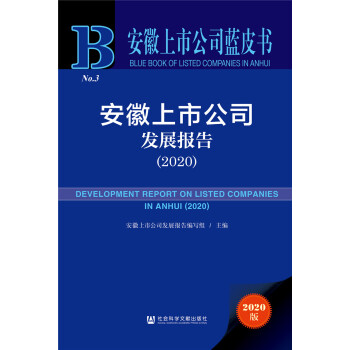 �������й�˾�{(l��n)Ƥ�����������й�˾�l(f��)չ��棨2020��