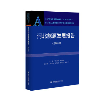 �ӱ���Դ�l(f��)չ���2020