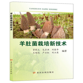 ��Ǿ������¼��g