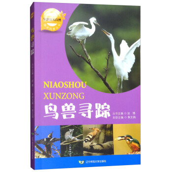 �B�F��ۙ/��߅�Ĵ���ȻȤζ���Յ���