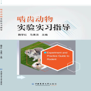 ���X���򞌍��ָ��