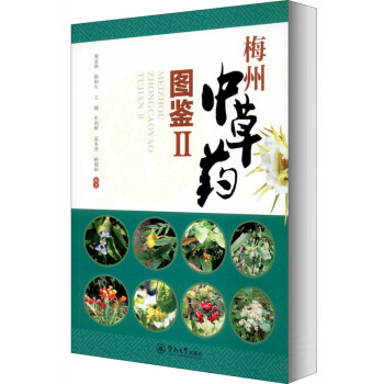 ÷���в�ˎ�D�b2