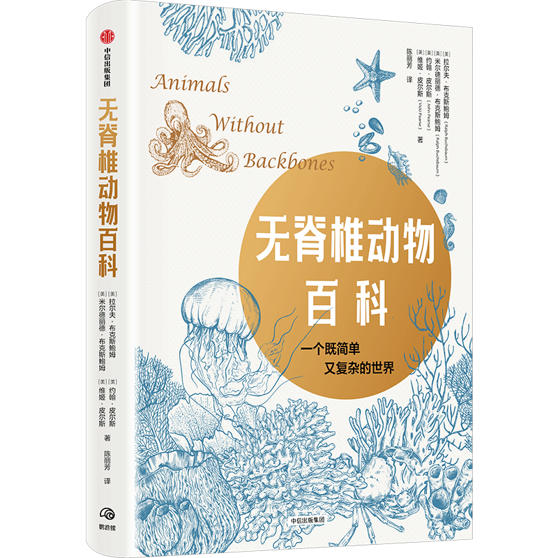 �o��׵����ٿ�