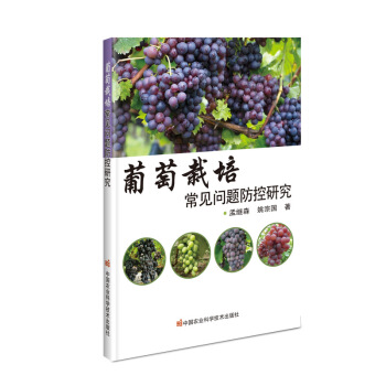 �������ೣҊ���}�����о�