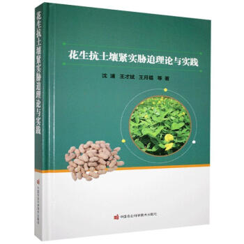 �����������o���{����Փ�c���`