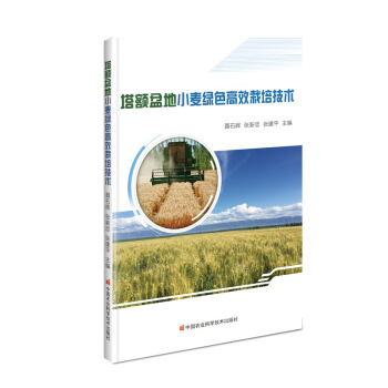 ���~���С���Gɫ��Ч���༼�g